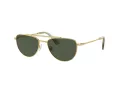 Swarovski Sonnenbrille SK 7007 401782