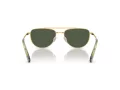 Swarovski Sonnenbrille SK 7007 401782