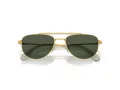 Swarovski Sonnenbrille SK 7007 401782