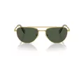 Swarovski Sonnenbrille SK 7007 401782