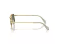Swarovski Sonnenbrille SK 7007 401782