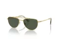 Swarovski Sonnenbrille SK 7007 401782