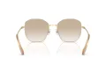 Swarovski Sonnenbrille SK 7012D 401311