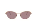 Swarovski Sonnenbrille SK 7014 40147N