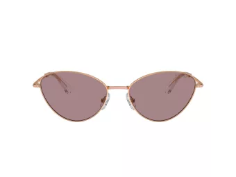 Swarovski Sonnenbrille SK 7014 40147N