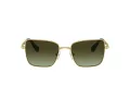 Swarovski Sonnenbrille SK 7015 4004E8