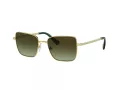 Swarovski Sonnenbrille SK 7015 4004E8