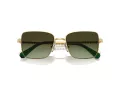 Swarovski Sonnenbrille SK 7015 4004E8