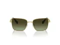 Swarovski Sonnenbrille SK 7015 4004E8