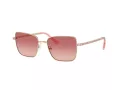 Swarovski Sonnenbrille SK 7015 4013A5