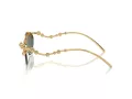 Swarovski Sonnenbrille SK 7016 40047P