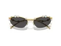 Swarovski Sonnenbrille SK 7016 400487