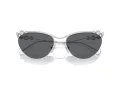 Swarovski Sonnenbrille SK 7017 400187