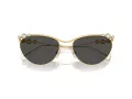 Swarovski Sonnenbrille SK 7017 400487