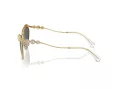 Swarovski Sonnenbrille SK 7017 400487