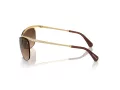 Swarovski Sonnenbrille SK 7018 400474