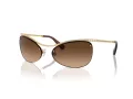 Swarovski Sonnenbrille SK 7018 400474