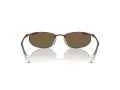 Swarovski Sonnenbrille SK 7019 400273