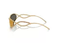 Swarovski Sonnenbrille SK 7024 40047P