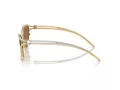 Swarovski Sonnenbrille SK 7025 400473
