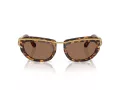 Swarovski Sonnenbrille SK 7026 403573