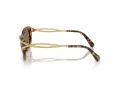 Swarovski Sonnenbrille SK 7026 403573
