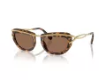 Swarovski Sonnenbrille SK 7026 403573