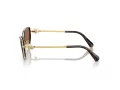 Swarovski Sonnenbrille SK 7027 400473
