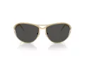 Swarovski Sonnenbrille SK 7028 400487