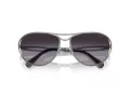 Swarovski Sonnenbrille SK 7028 40098G