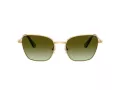Swarovski Sonnenbrille SK 7029 4004E8