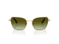 Swarovski Sonnenbrille SK 7029 4004E8