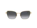 Swarovski Sonnenbrille SK 7029 4004T3
