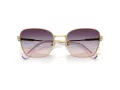 Swarovski Sonnenbrille SK 7029 4036U7