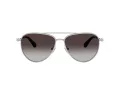 Swarovski Sonnenbrille SK 7031 40018G