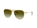 Swarovski Sonnenbrille SK 7031 4017E8