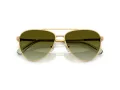 Swarovski Sonnenbrille SK 7031 4017E8