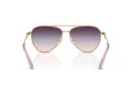 Swarovski Sonnenbrille SK 7031 4036U7
