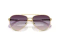 Swarovski Sonnenbrille SK 7031 4036U7