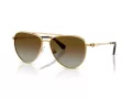 Swarovski Sonnenbrille SK 7031 4037T5