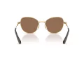 Swarovski Sonnenbrille SK 7032 400473