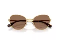 Swarovski Sonnenbrille SK 7032 400473