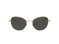 Swarovski Sonnenbrille SK 7032 400487