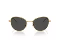 Swarovski Sonnenbrille SK 7032 400487