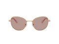 Swarovski Sonnenbrille SK 7032 40147N