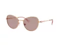 Swarovski Sonnenbrille SK 7032 40147N