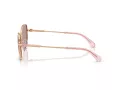 Swarovski Sonnenbrille SK 7032 40147N