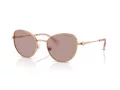 Swarovski Sonnenbrille SK 7032 40147N