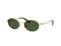 Swarovski Sonnenbrille SK 7033 400471