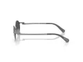Swarovski Sonnenbrille SK 7033 40096G